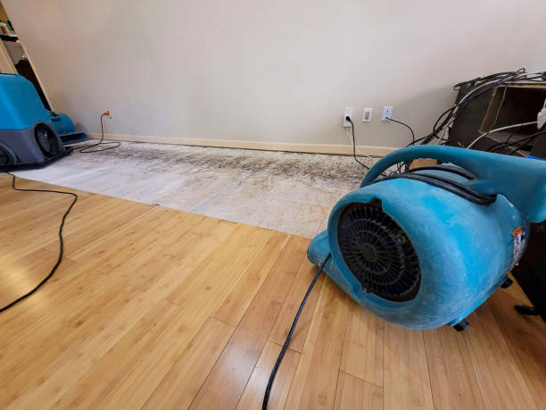 Professional Structural Drying technician working in Odessa, TX